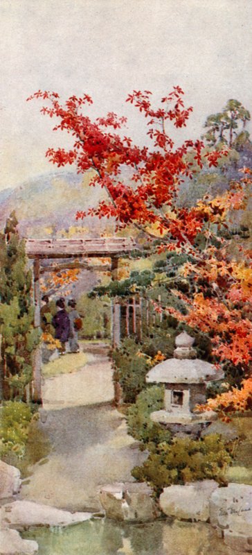 The Scarlet Maple (färg litho) av Ella Du Cane