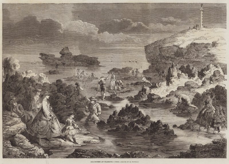 Räkfiske i Biarritz av Emile Antoine Bayard
