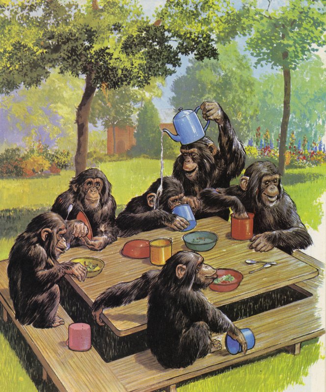 Schimpans teparty på Zoo av English School