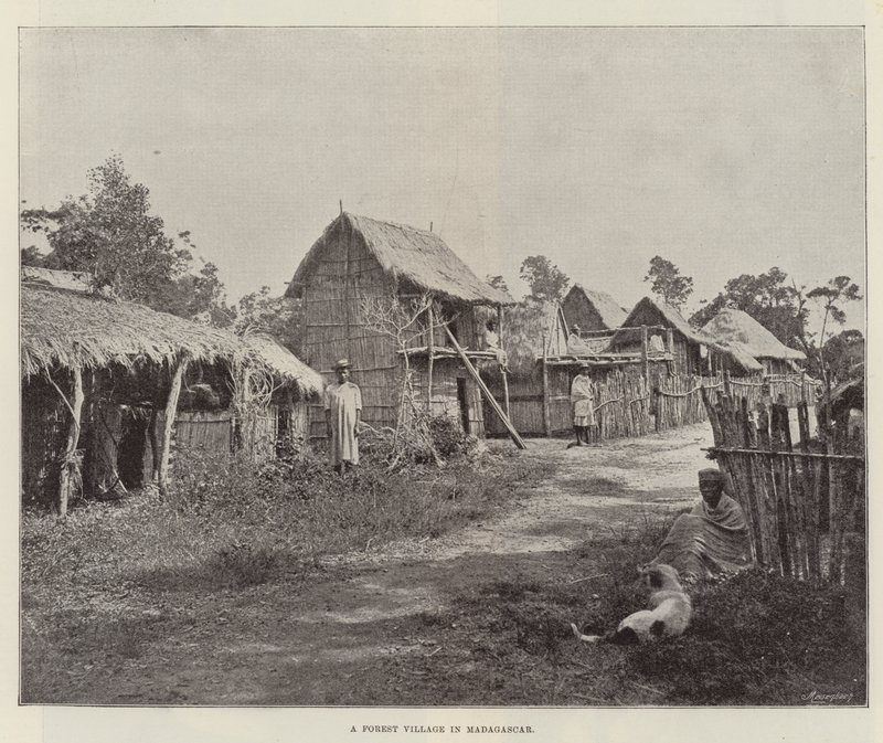 En skogsby på Madagaskar av English Photographer