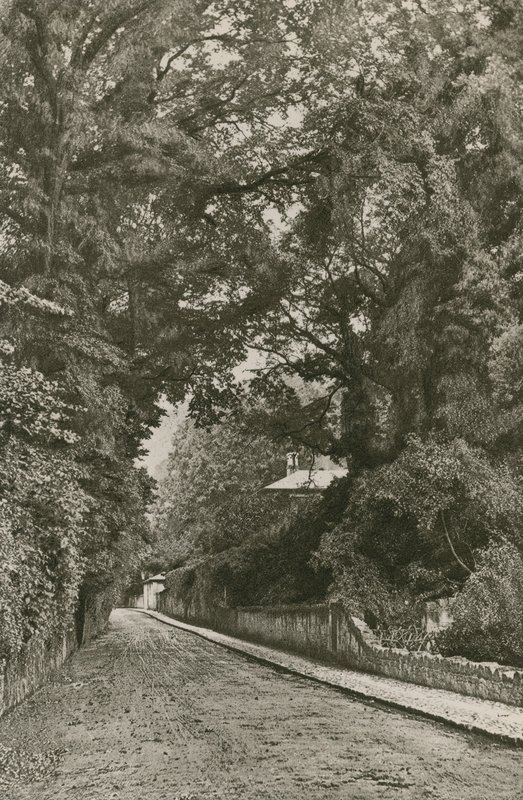 Bonchurch Road, Isle of Wight av English Photographer