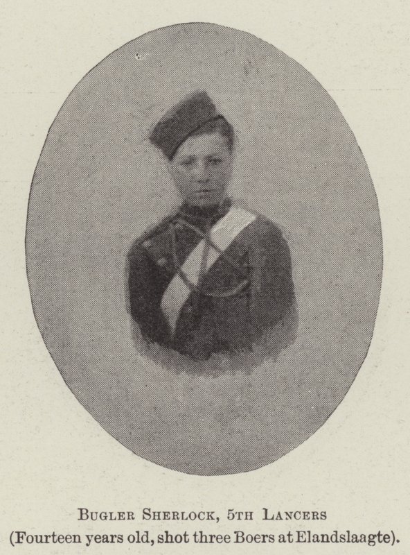 Bugler Sherlock, 5th Lancers av English Photographer
