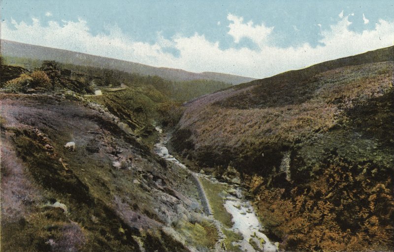 Buxton, Goyt Valley av English Photographer