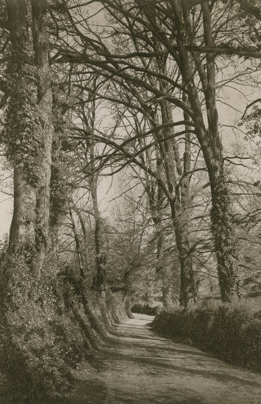 Cockington Lane, Devonshire, nära Torquay av English Photographer