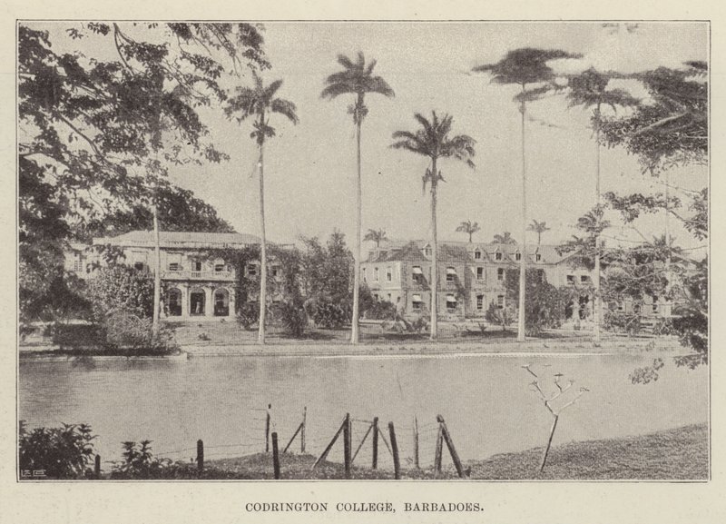 Codrington College, Barbados av English Photographer