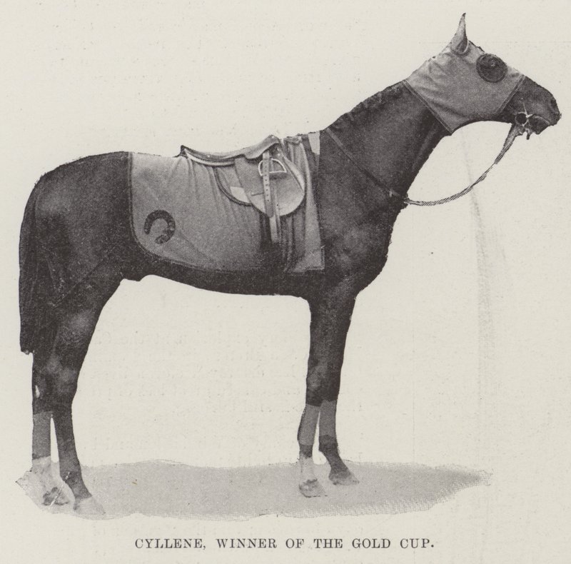 Cyllene, vinnare av Gold Cup av English Photographer