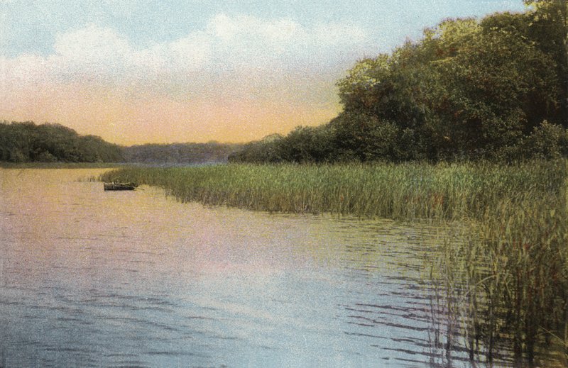 Fritton Lake av English Photographer