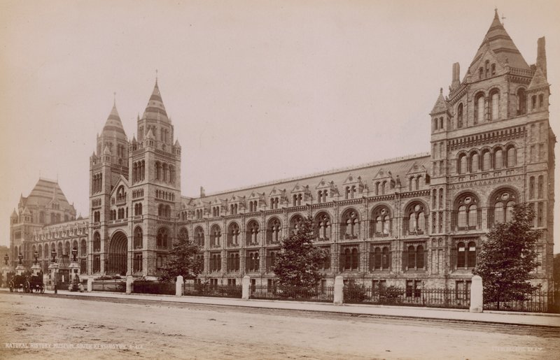 Natural History Museum, South Kensington, London av English Photographer