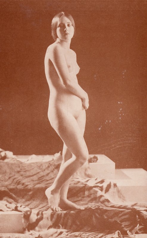 Nudistisk konst: Tiger Lady (svartvitt foto) av English Photographer