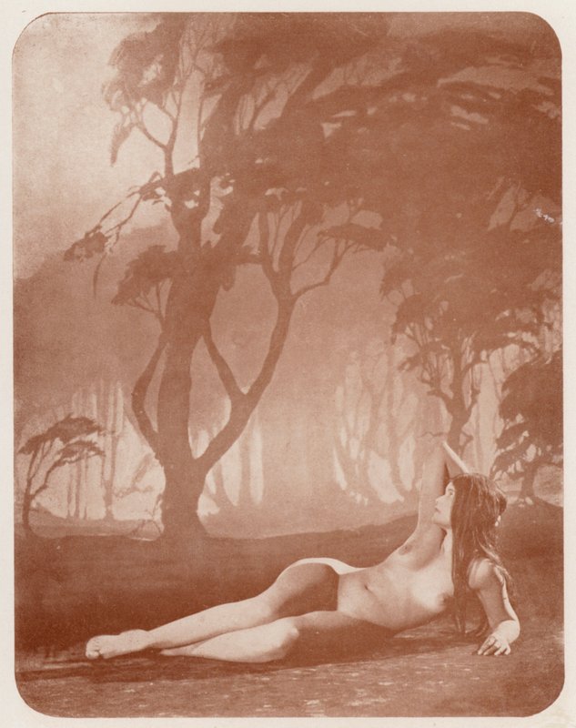 Nudistkonst: Skymning (svartvitt foto) av English Photographer