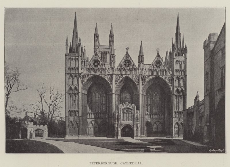 Peterboroughs katedral av English Photographer