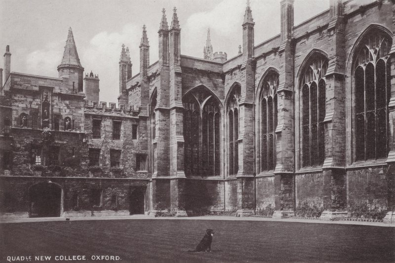 Quadrangle New College, Oxford av English Photographer