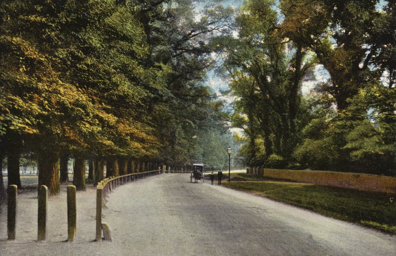 Queens Road, backarna av English Photographer