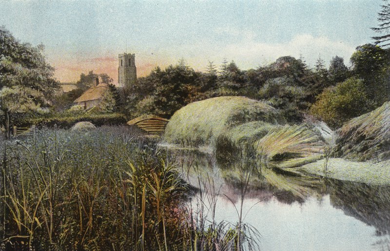 Reed Staithe, Ranworth av English Photographer