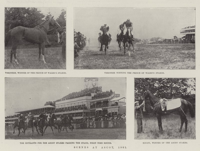 Scener vid Ascot, 1901 av English Photographer