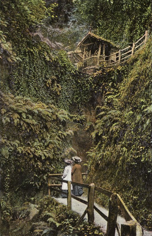 Shanklin Chine av English Photographer