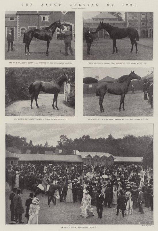 Ascotmötet 1901 av English Photographer