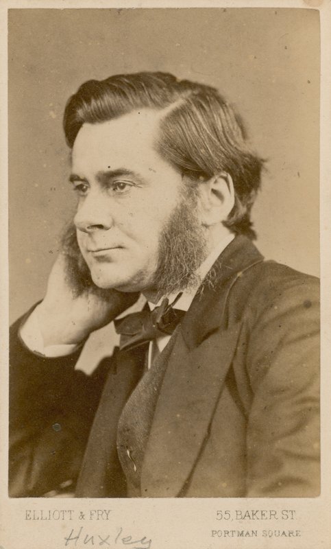 Thomas Henry Huxley av English Photographer