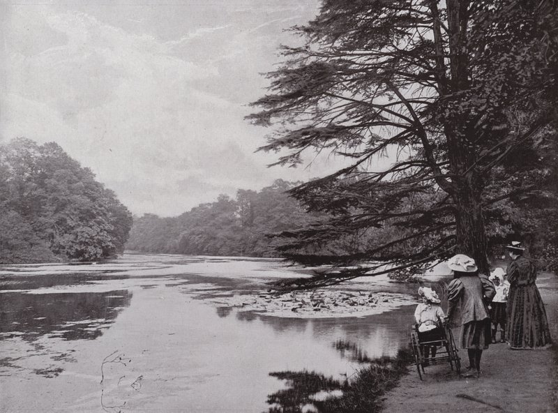 Wanstead Park av English Photographer