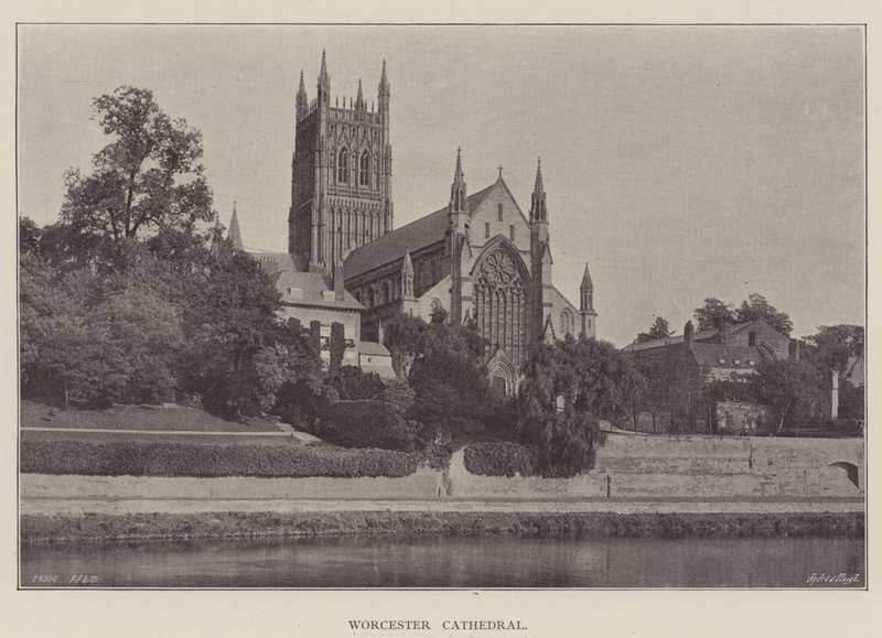Worcesters katedral av English Photographer