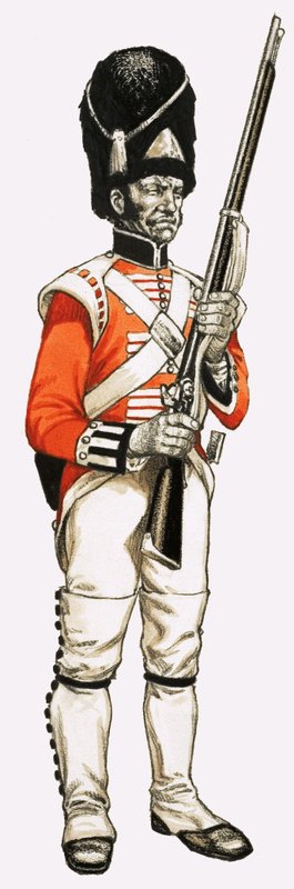 92:a. Foot Grenadier 1815 av English School