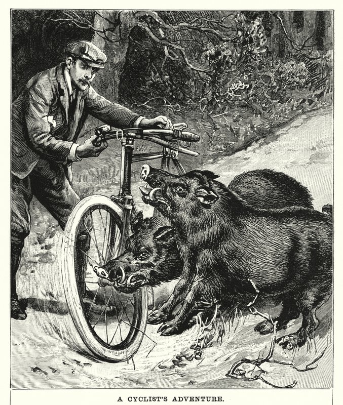 En cyklists äventyr (gravyr) av English School