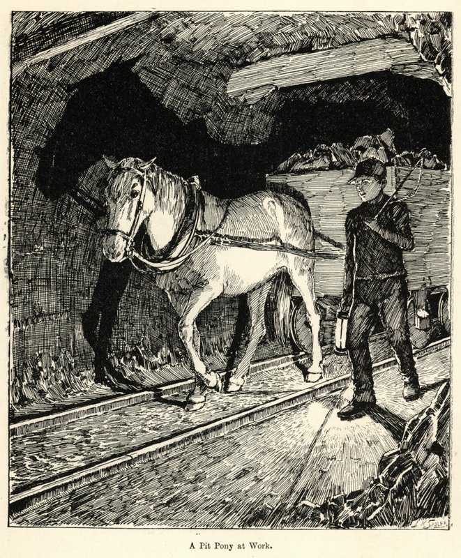 A Pit Pony at Work (gravyr) av English School