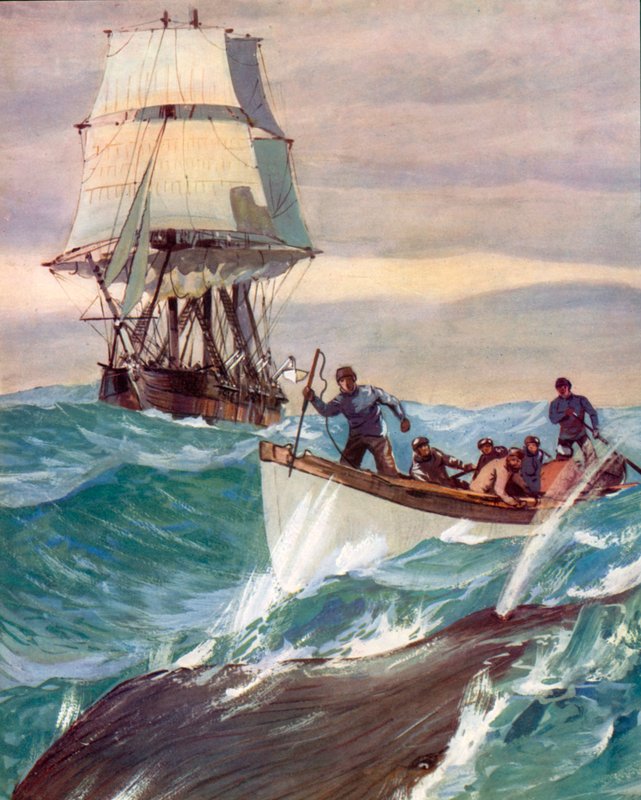 A Whaler (färglitografi) av English School