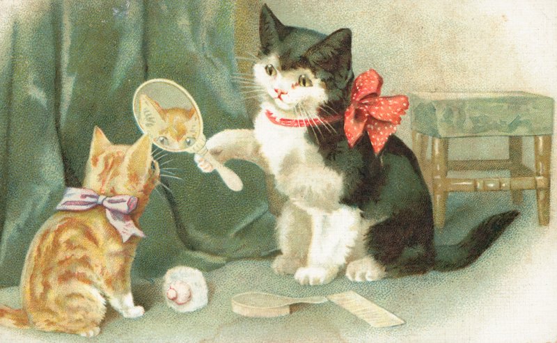 En katt som håller i en handspegel av English School