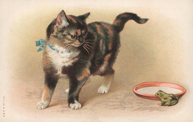 En katt som tittar på en groda av English School