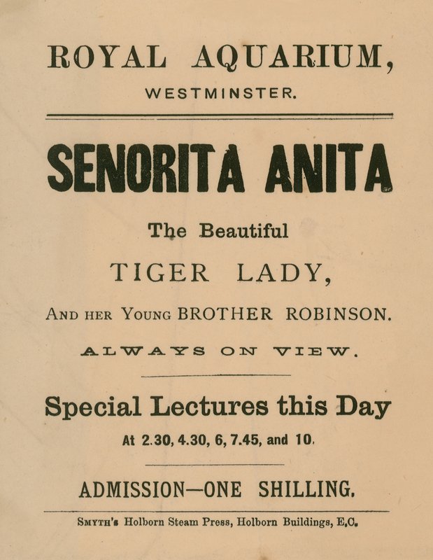 Annons för Senorita Anita av English School