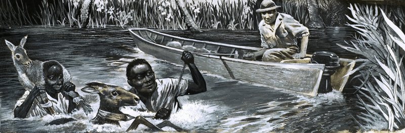 Afrikaner som räddar djur av English School
