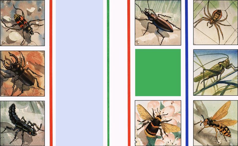 Alla sorters insekter av English School