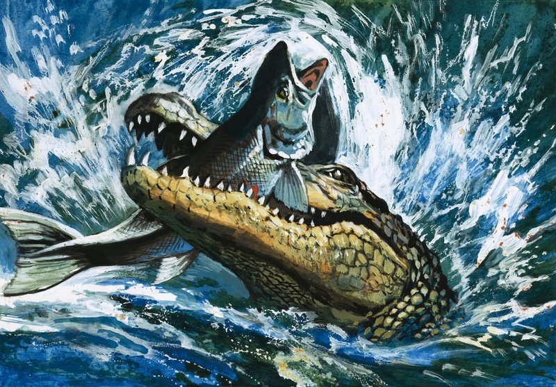Alligator som äter fisk av English School