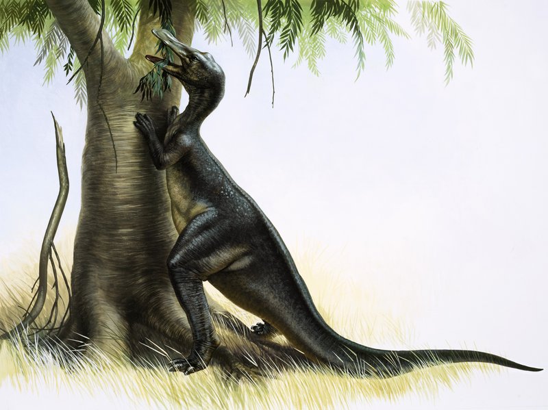 Anatosaurus av English School