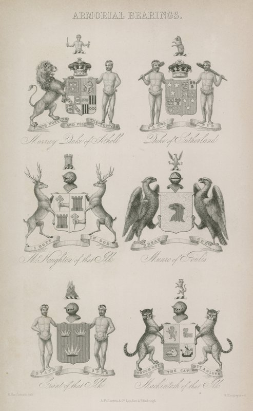 Armorial lager av English School