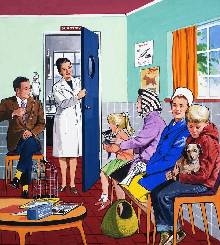 Hos veterinärerna av English School