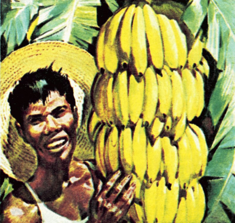 Bananer av English School