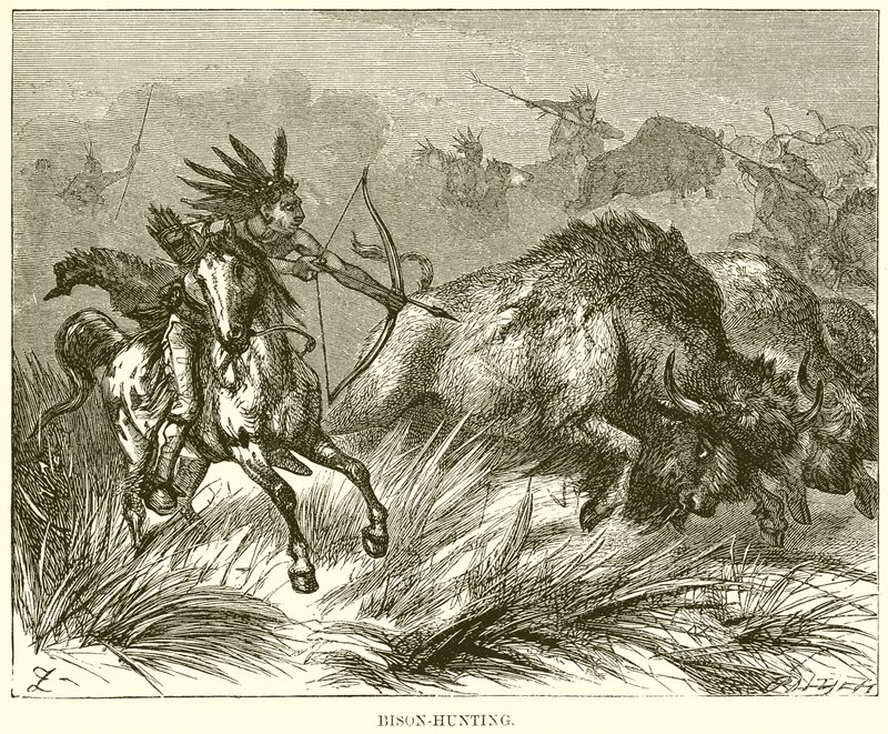 Bison-jakt av English School