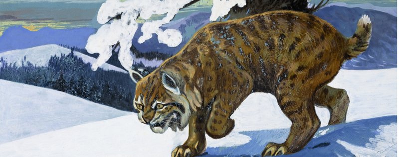Bobcat av English School