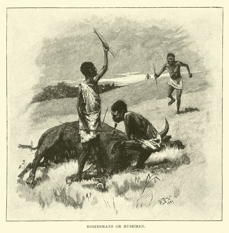 Bosjesmans eller Bushmen av English School