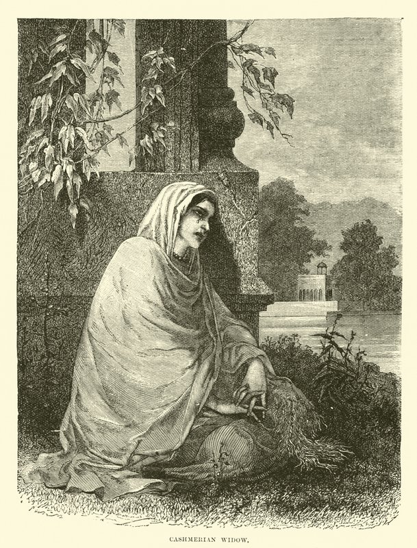 Cashmerian änka av English School