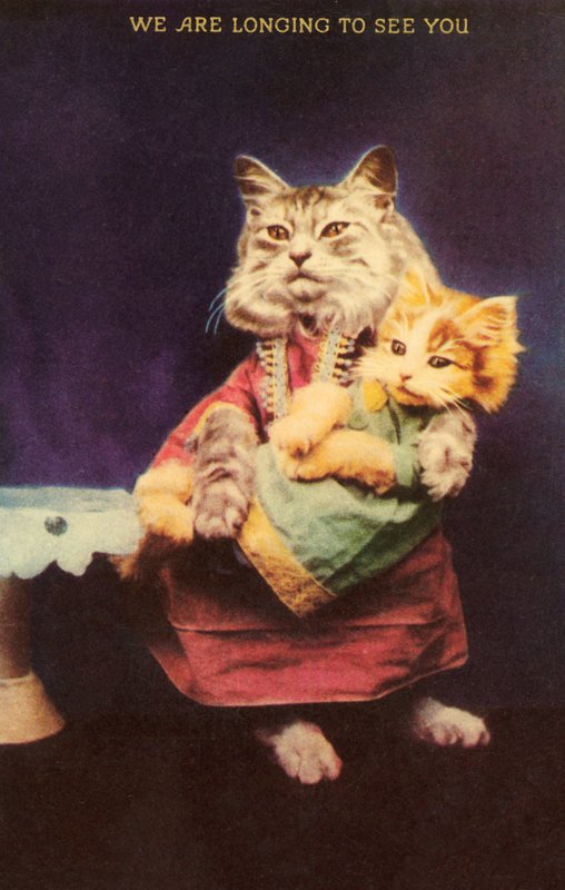 Katt och kattunge (färg litho) av English School