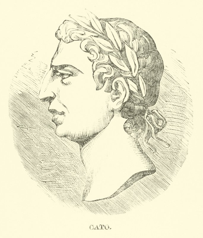 Cato av English School