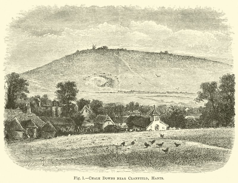 Chalk Downs nära Clanfield, Hants av English School