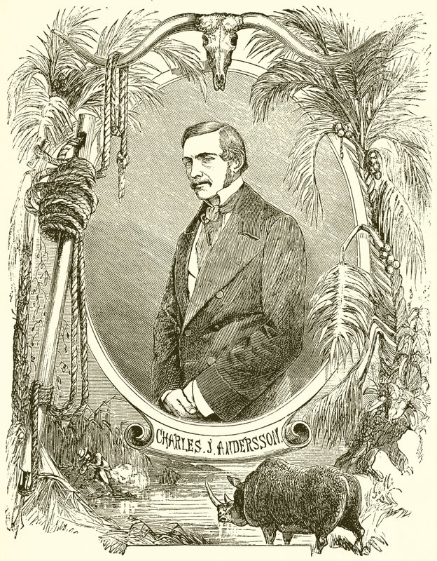 Charles J Andersson av English School