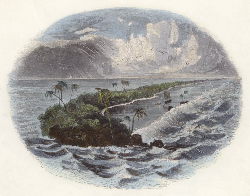 Korallrev (färgad gravyr) av English School