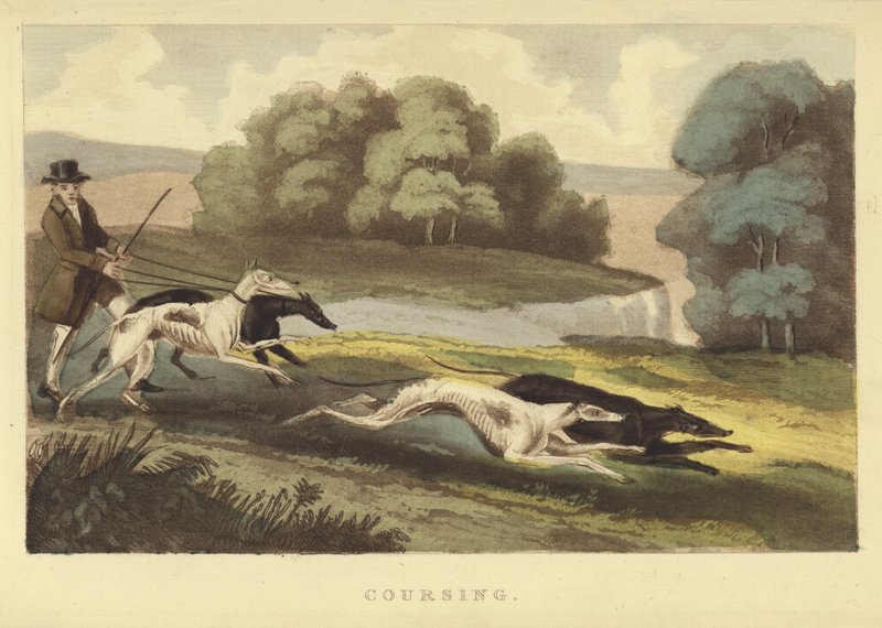 Coursing (färgad gravyr) av English School