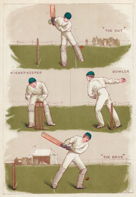 Cricket av English School