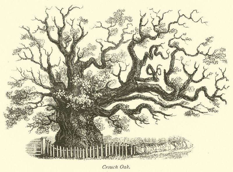 Crouch Oak av English School